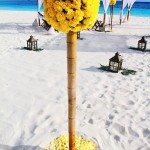 Aruba Wedding (16)